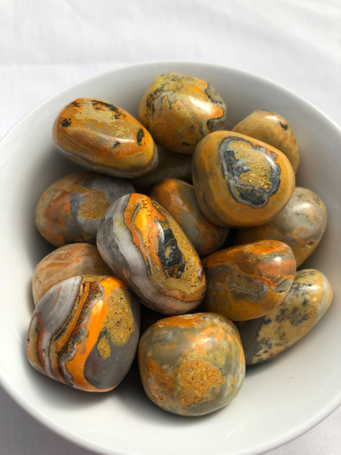 Bumblebee Jasper Tumble