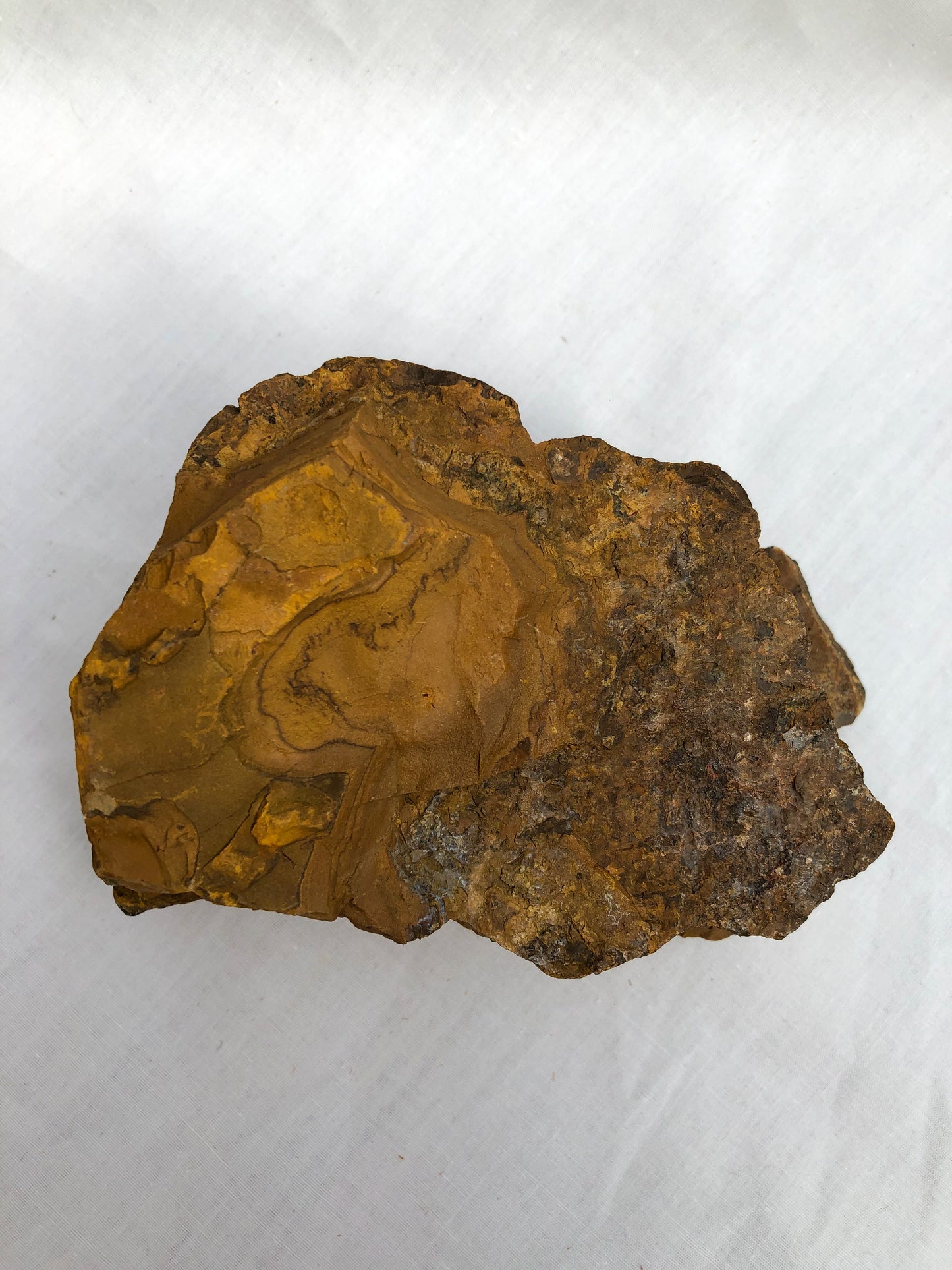 Large Rough Tigers Eye - B