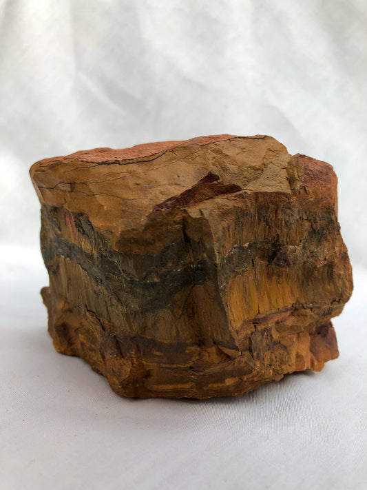 Large Rough Tigers Eye - A