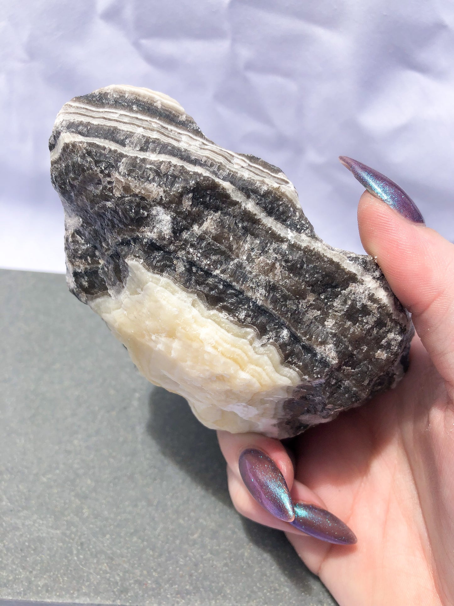 Rough Zebra Aragonite
