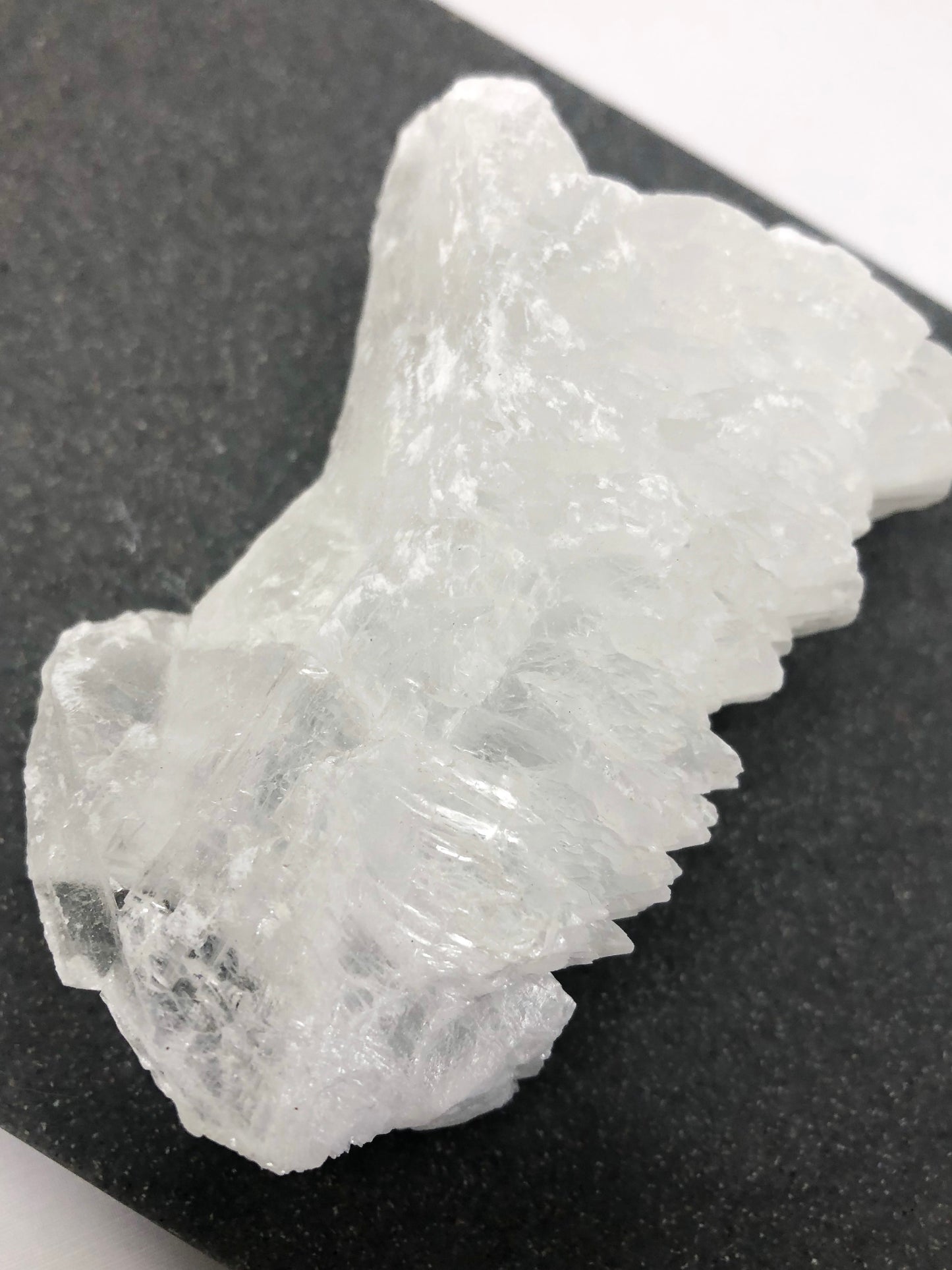 Fishtail Selenite - B