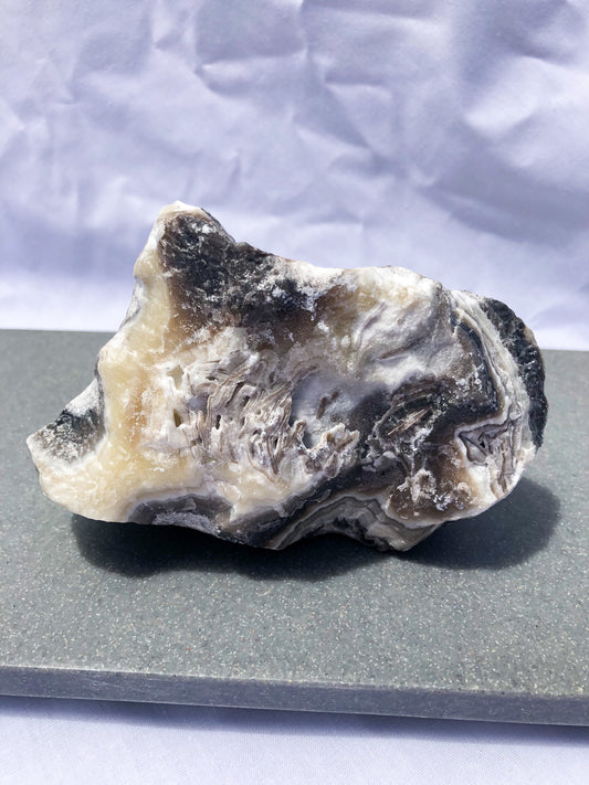Rough Zebra Aragonite