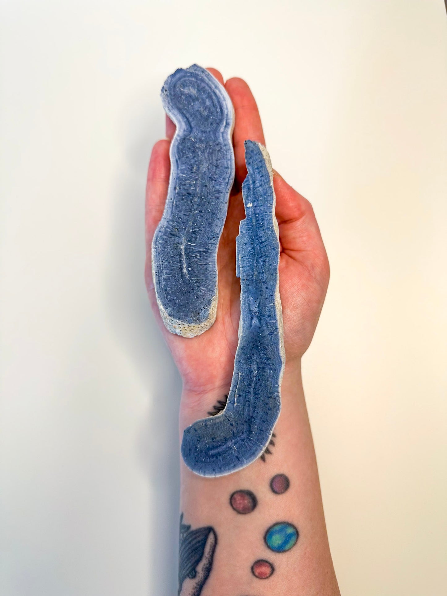 Australian Blue Coral Slab