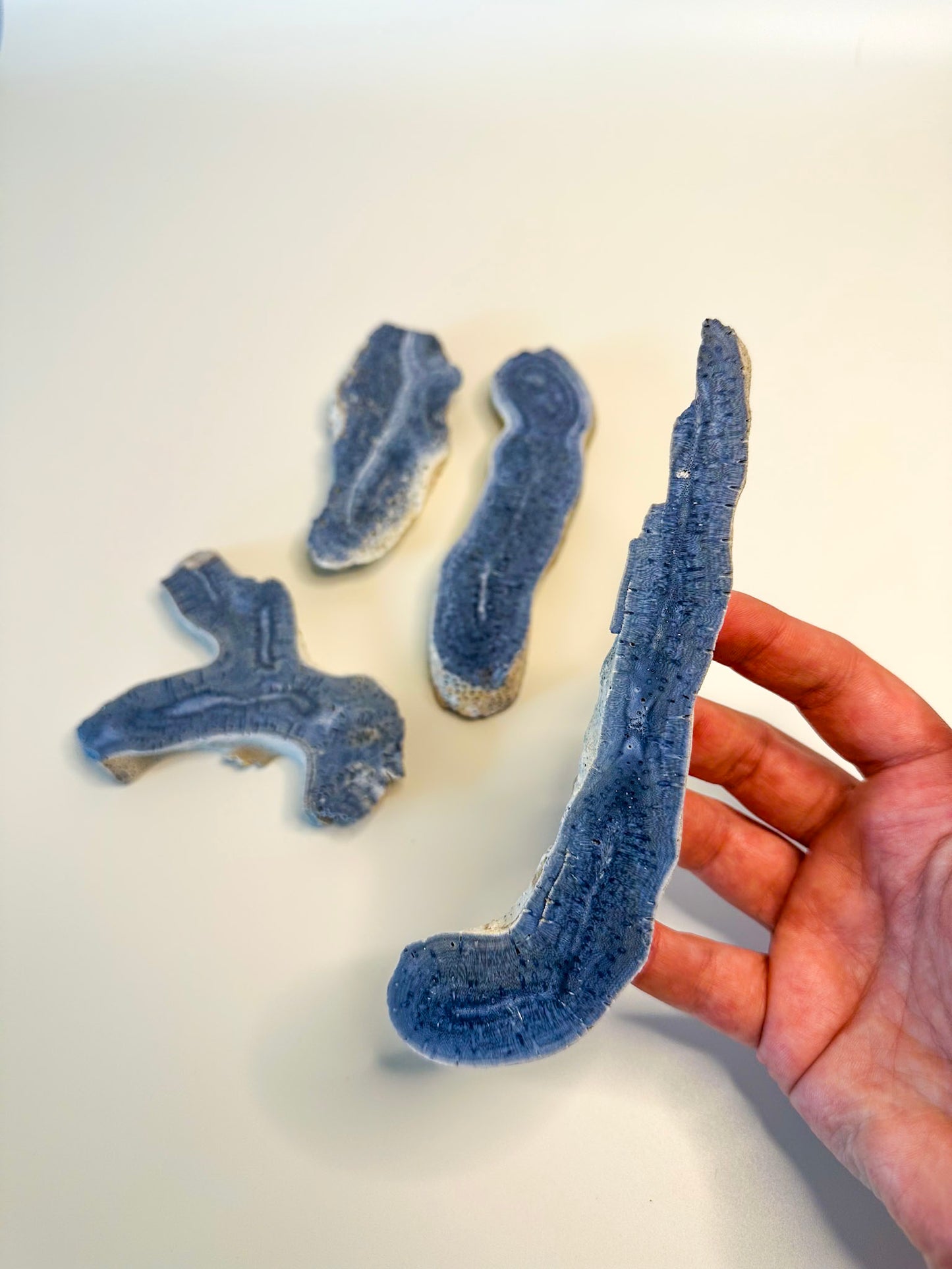 Australian Blue Coral Slab