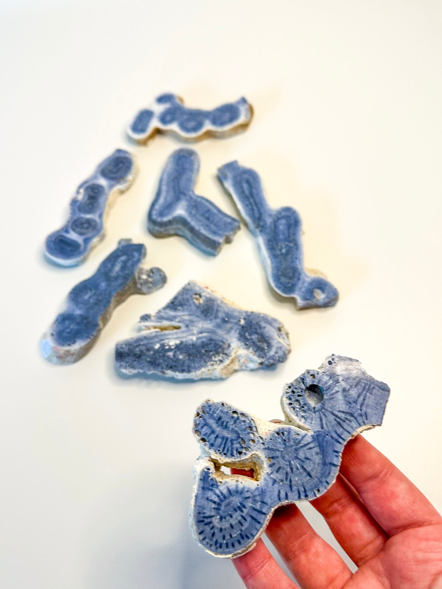 Australian Blue Coral Slab