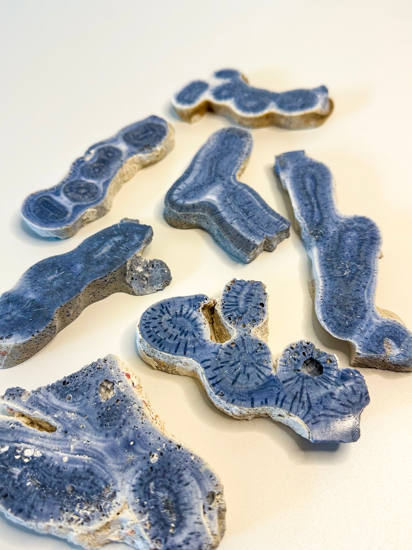 Australian Blue Coral Slab