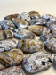 Ocean Jasper Palmstone