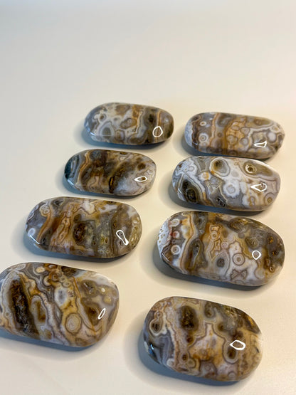 Ocean Jasper Palmstone