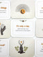 Gratitude: A Little Deck of Appreciation
