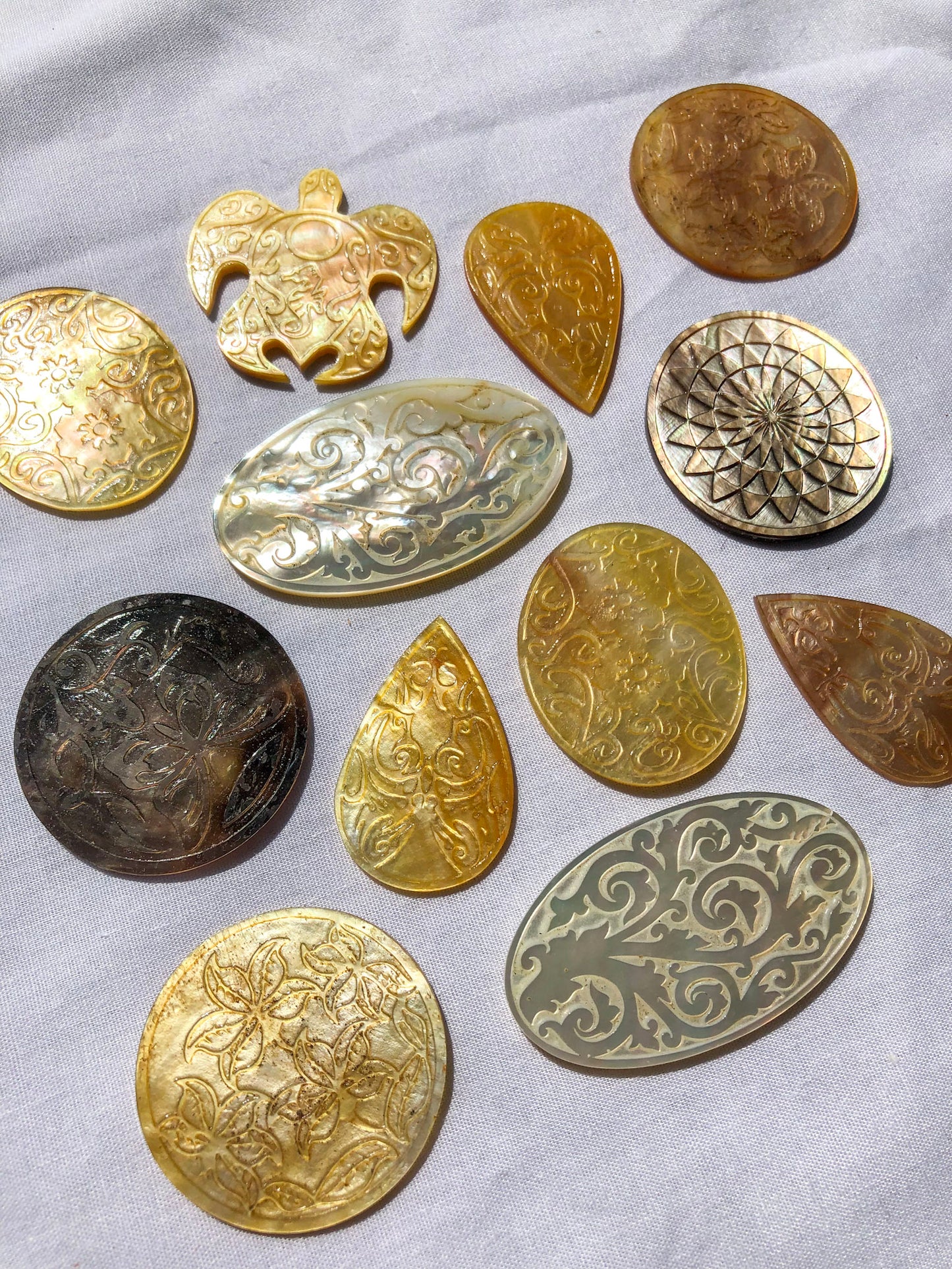 Shell Carving