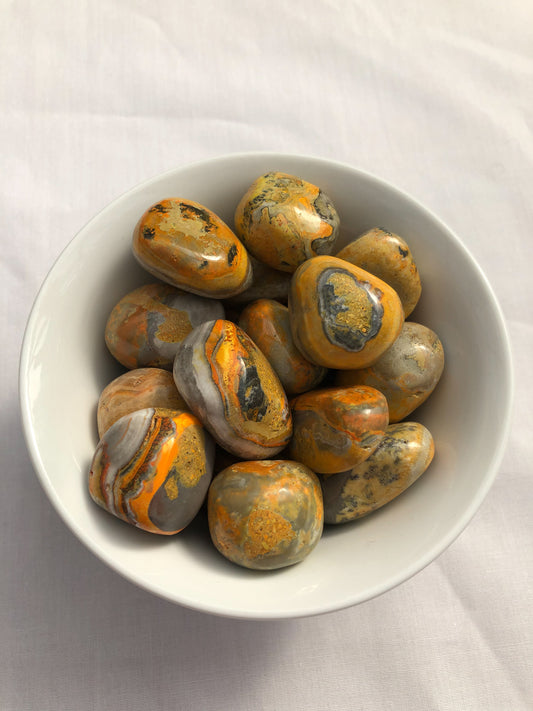 Bumblebee Jasper Tumble