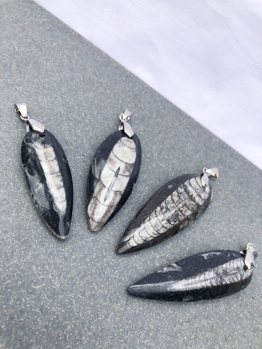 Orthoceras Fossil Pendant